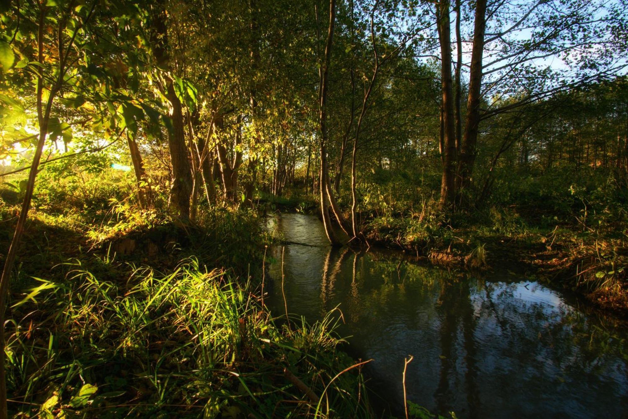 Suwalki Centrum Dış mekan fotoğraf